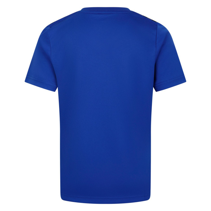 Coventry City Junior 24/25 Training Shirt
