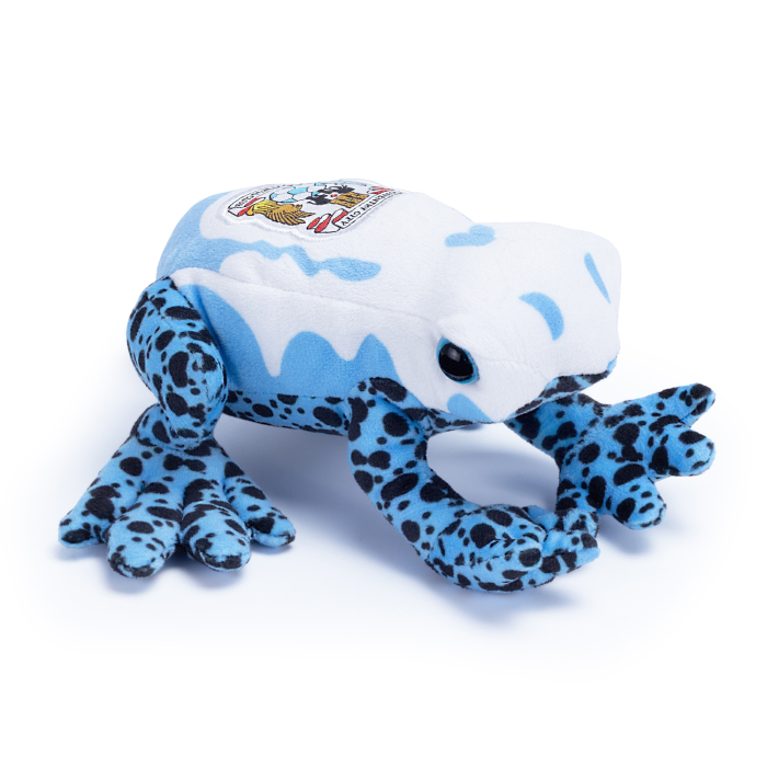 Coventry City Mini Dart Frog