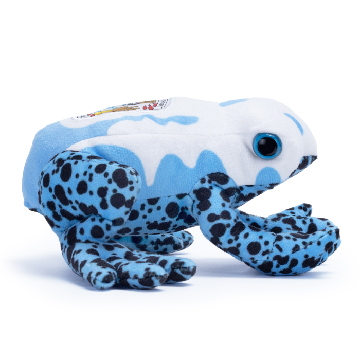 Coventry City Mini Dart Frog