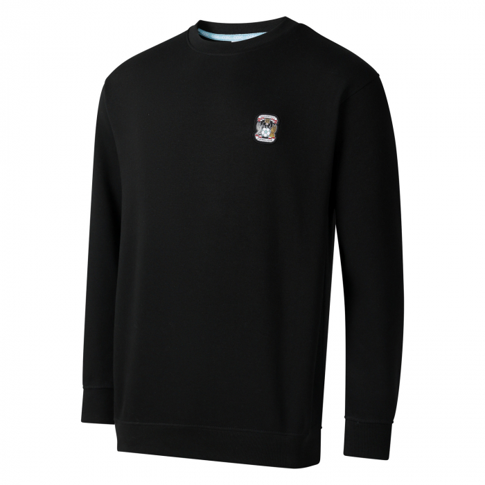 Coventry City Essential Adult Sweat