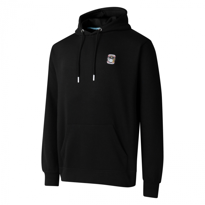 Coventry City Essential Adult Hoodie