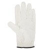 Coventry Golf Glove