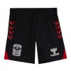 Coventry 20-21 Hummel Away Mini Kit