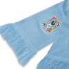 Coventry City Home Inspired Scarf