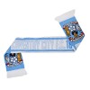 Coventry Since Scarf