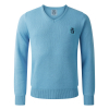 Coventry City Men's V Neck Jumper