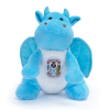 Coventry City Mini Dragon