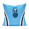 Coventry City 1978 Home Shirt Cushion