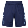 Coventry City Adult 25/26 Third Short