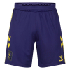 Coventry City Adult 25/26 Home GK Short