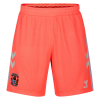 Coventry City Adult 25/26 Away Short