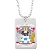 Coventry Colour Crest Dog Tag and Chain