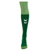 Coventry 20-21 Hummel Adult Home Goalkeeper Socks