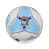 Coventry Vibrant Crest Football