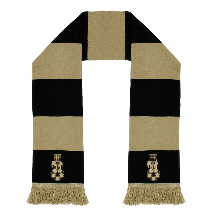 Coventry City Bar Scarf