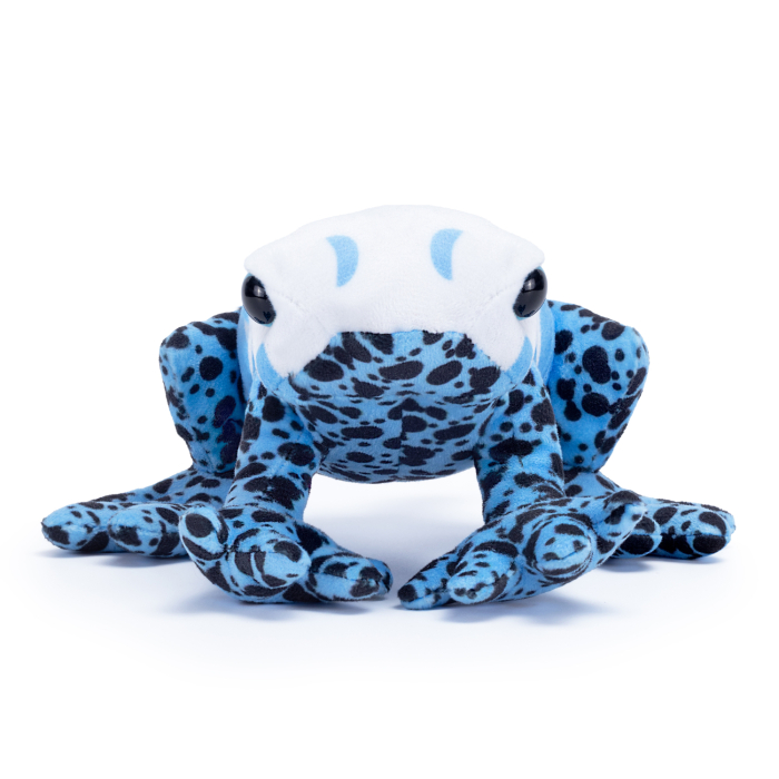 Coventry City Mini Dart Frog